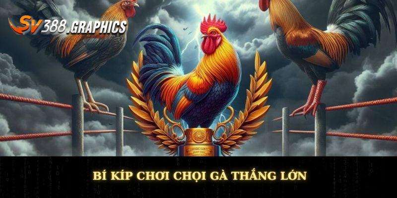 Bí kíp chơi chọi gà thắng lớn