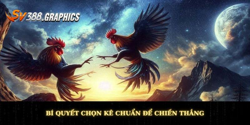 Bí quyết chọn kê chuẩn để chiến thắng