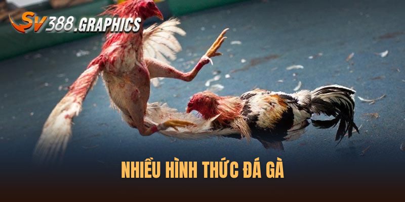 Có nhiều hình thức đá gà cho bạn theo dõi