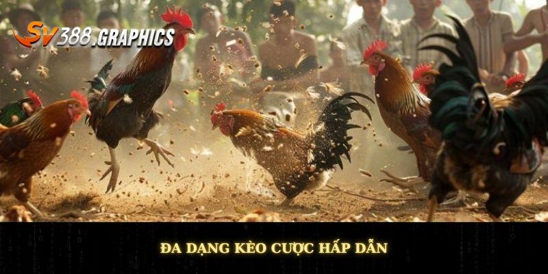 Đa dạng kèo cược hấp dẫn