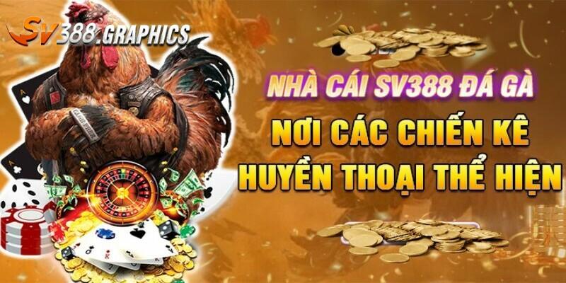 Đá gà live sắc nét đầy gay cấn