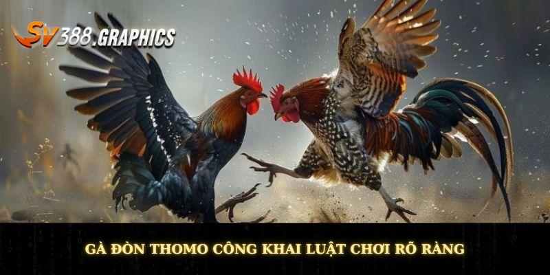 Gà đòn Thomo công khai luật chơi rõ ràng