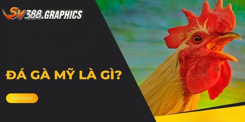 Lối đá gà Mỹ độc đáo