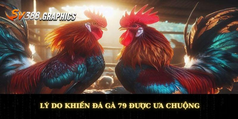 Lý do khiến đá gà 79 được ưa chuộng