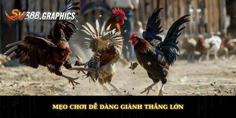 Mẹo chơi dễ dàng giành thắng lớn