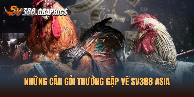 Những câu hỏi thường gặp về đá gà SV388 Asia