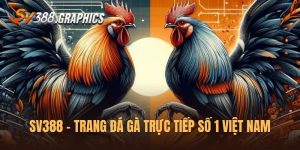 SV388 Đá Gà Trực Tiếp: Nơi Cung Cấp Đa Dạng Nhiều Trận Đấu