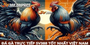 SV388 Trực Tiếp | Tổng Hợp 5 Hình Thức So Tài Mãn Nhãn Nhất