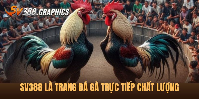 Tổng quan về trang SV388 trực tiếp đá gà